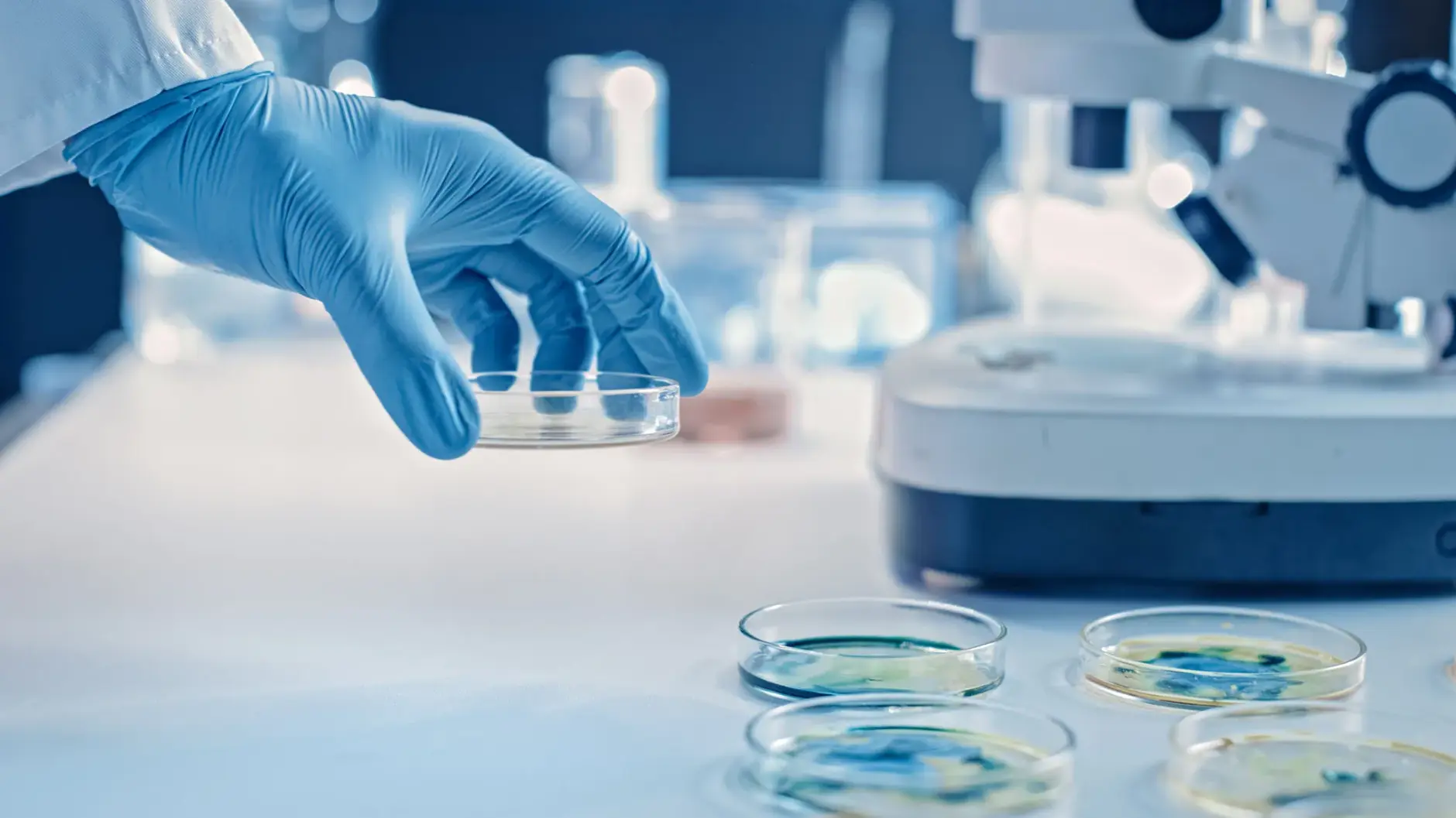 image of hand putting a cell under microscope